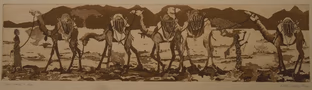 camel caravan: 24 x 6