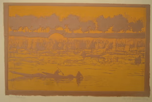 lake dal: 12 x 8