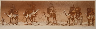 ships of the desert: 22 x 6